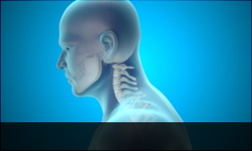 잠실자생한방병원 목질환 일자목증후군-정상적인 C자형 목뼈 모습입니다.